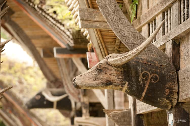 Ke'Te' Kesu Toraja houses