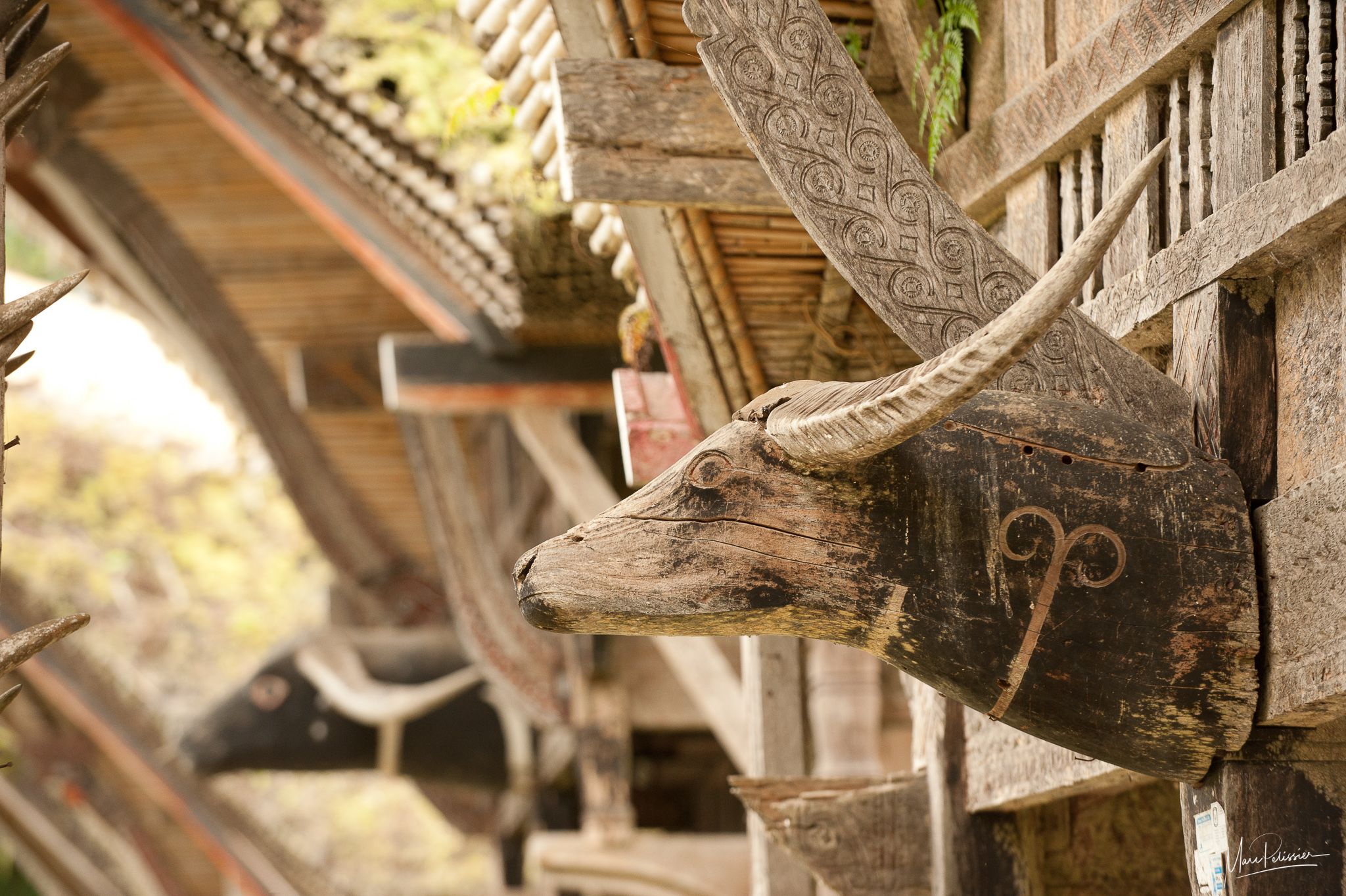 Ke'Te' Kesu Toraja houses, Indonesia