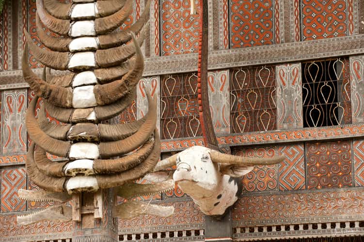 Ke'Te' Kesu Toraja houses