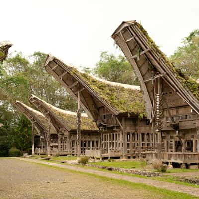 Ke'Te' Kesu Toraja houses, Indonesia