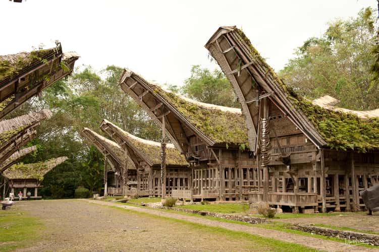 Ke'Te' Kesu Toraja houses
