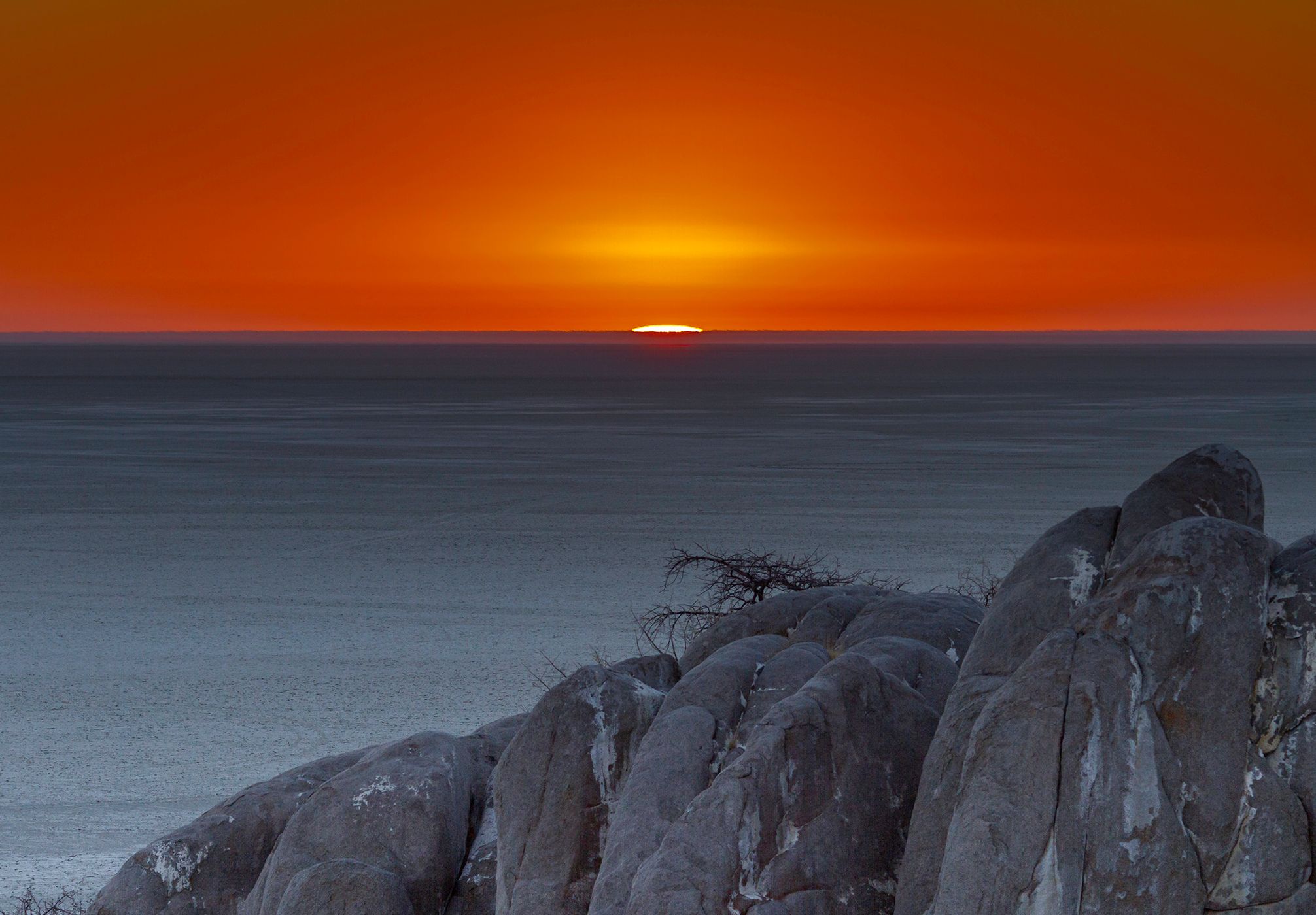 Kubu Island looking onto Sua Pan, Botswana