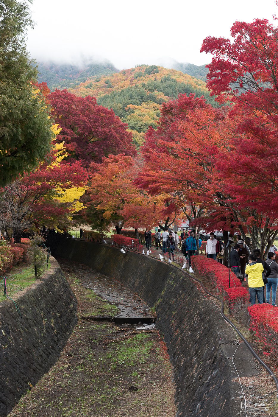 Lake Kawaguchi fall festival, Japan