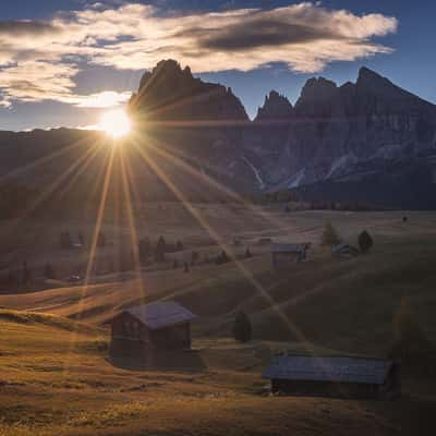 Le'Alpe di Siusi, St. Ulrich - Forcella Sassolungo, Italy