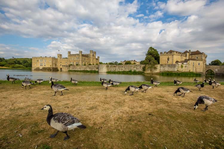 Leeds Castle
