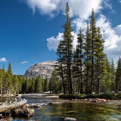 Lembert dome view, USA