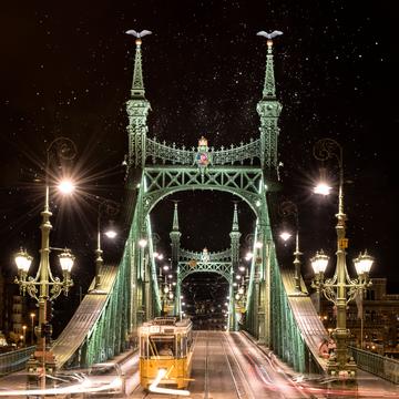 Liberty Bridge aligned, Hungary