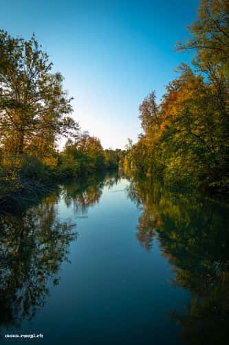 Limmatinsel