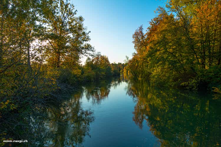 Limmatinsel