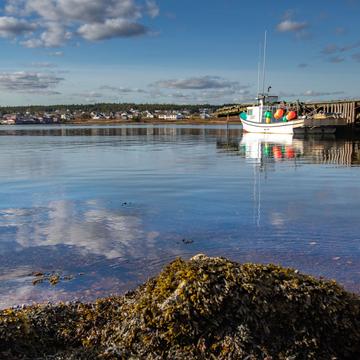 Lone fishing boat Louisbourg Cape Breton Nova Scotia, Canada