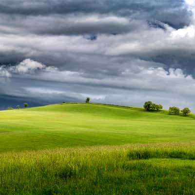 Lonely Trees, Romania