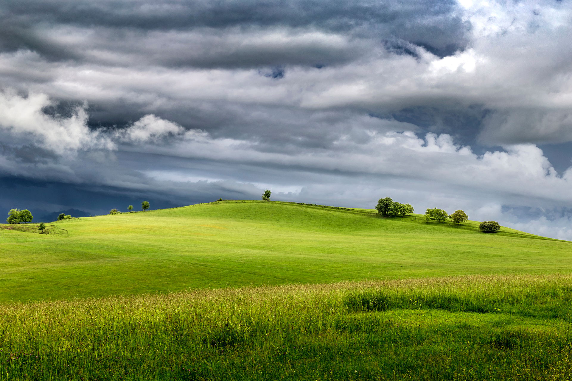 Lonely Trees, Romania