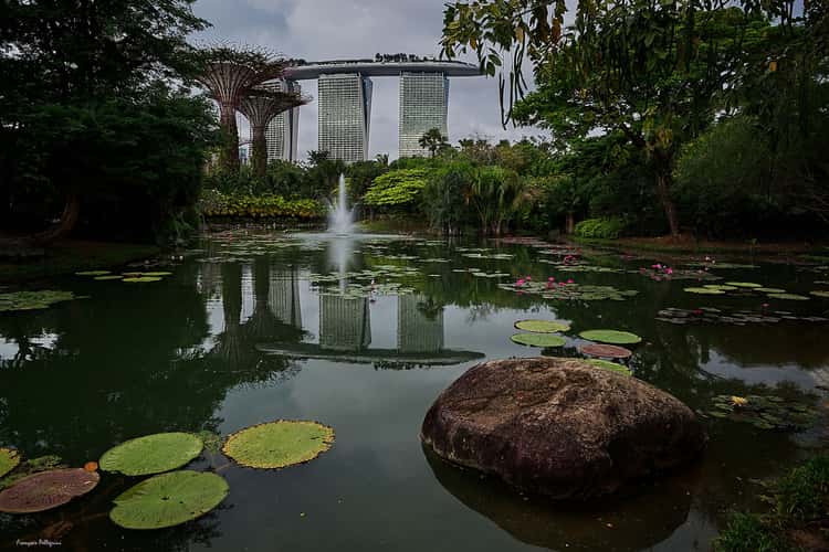 Marina Bay Sands (from Lily Pond)