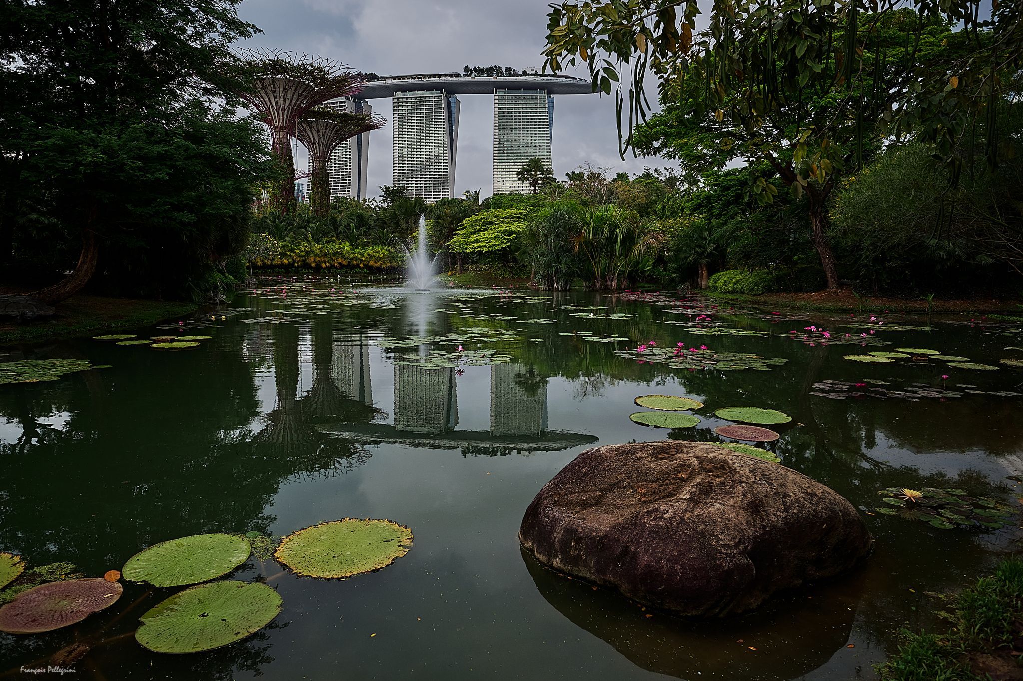 Marina Bay Sands (from Lily Pond), Singapore