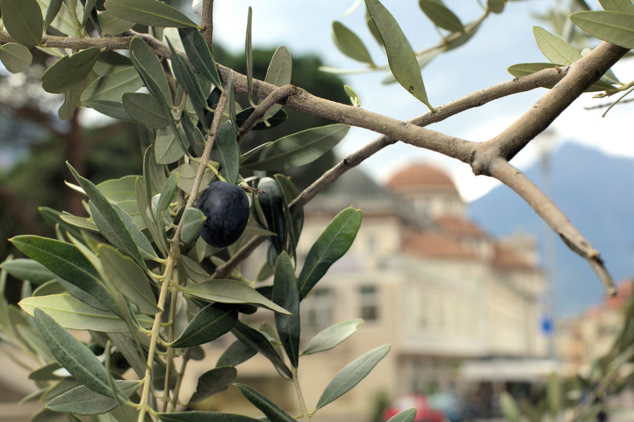 Meran City, Italy