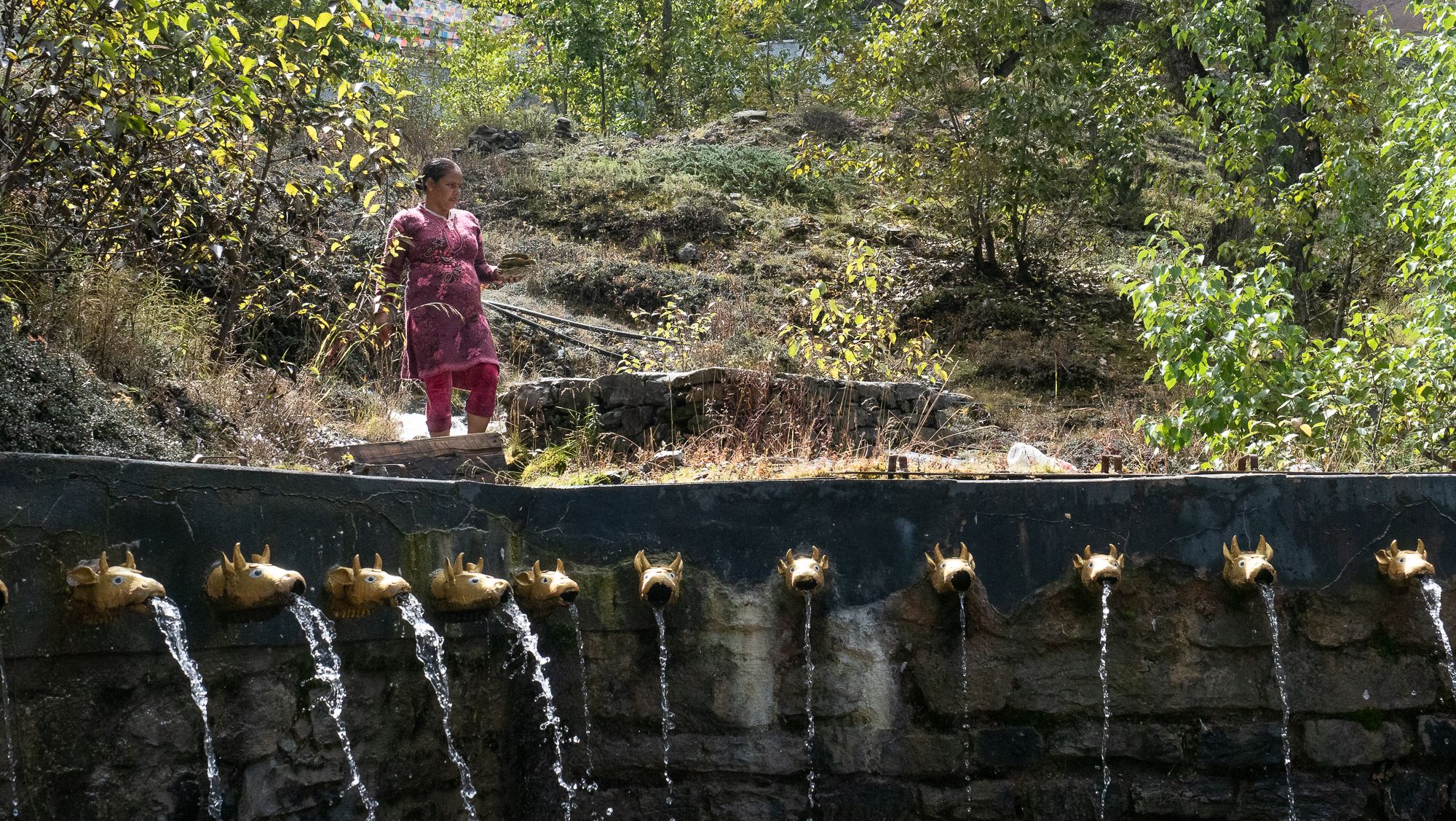 Muktinath sanctuary, Nepal