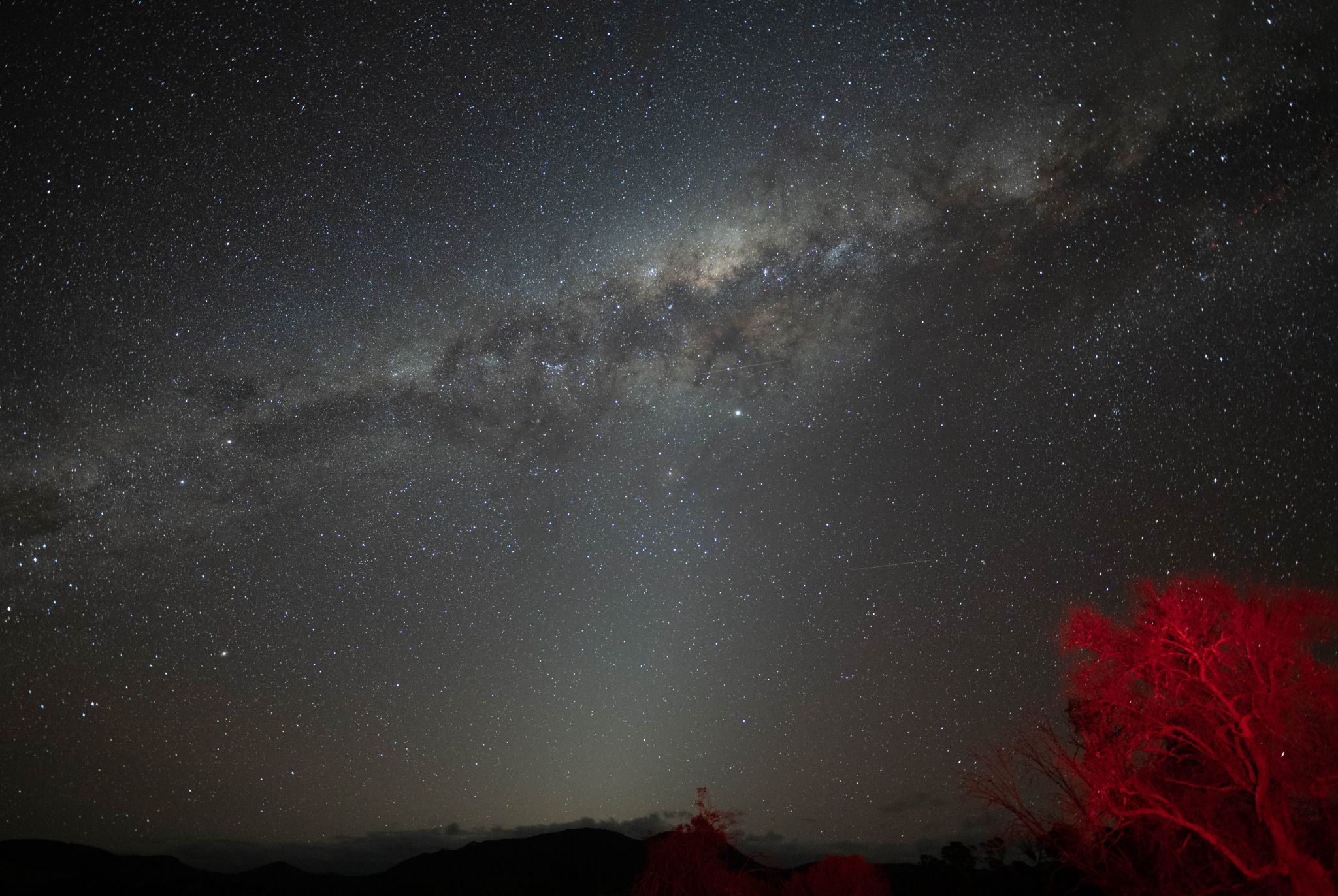 Namadagi Forest outside Canberra, Australia