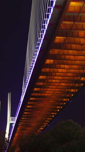 Nanpu Bridge