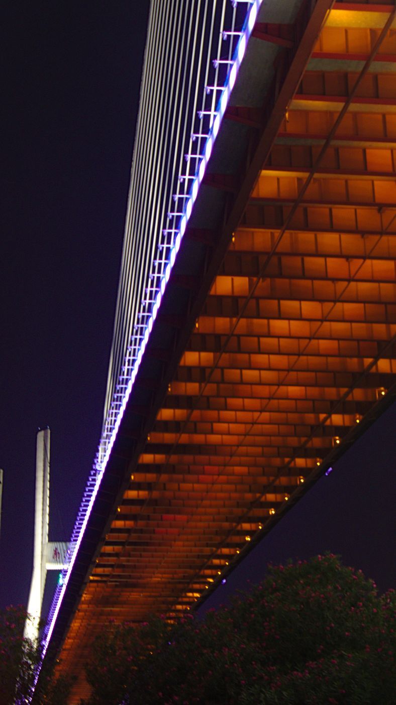 Nanpu Bridge, China
