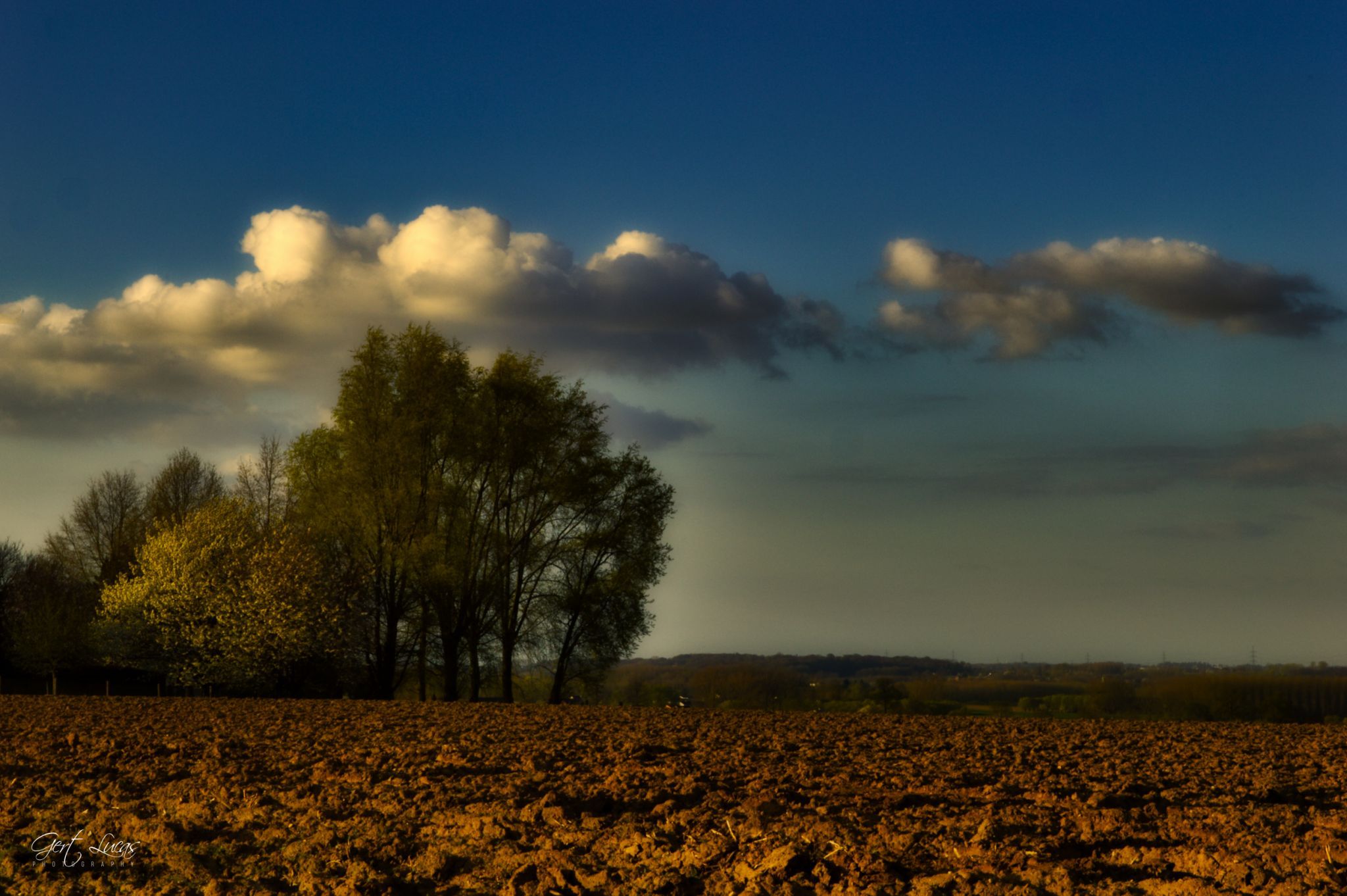 Pajot fields, Belgium