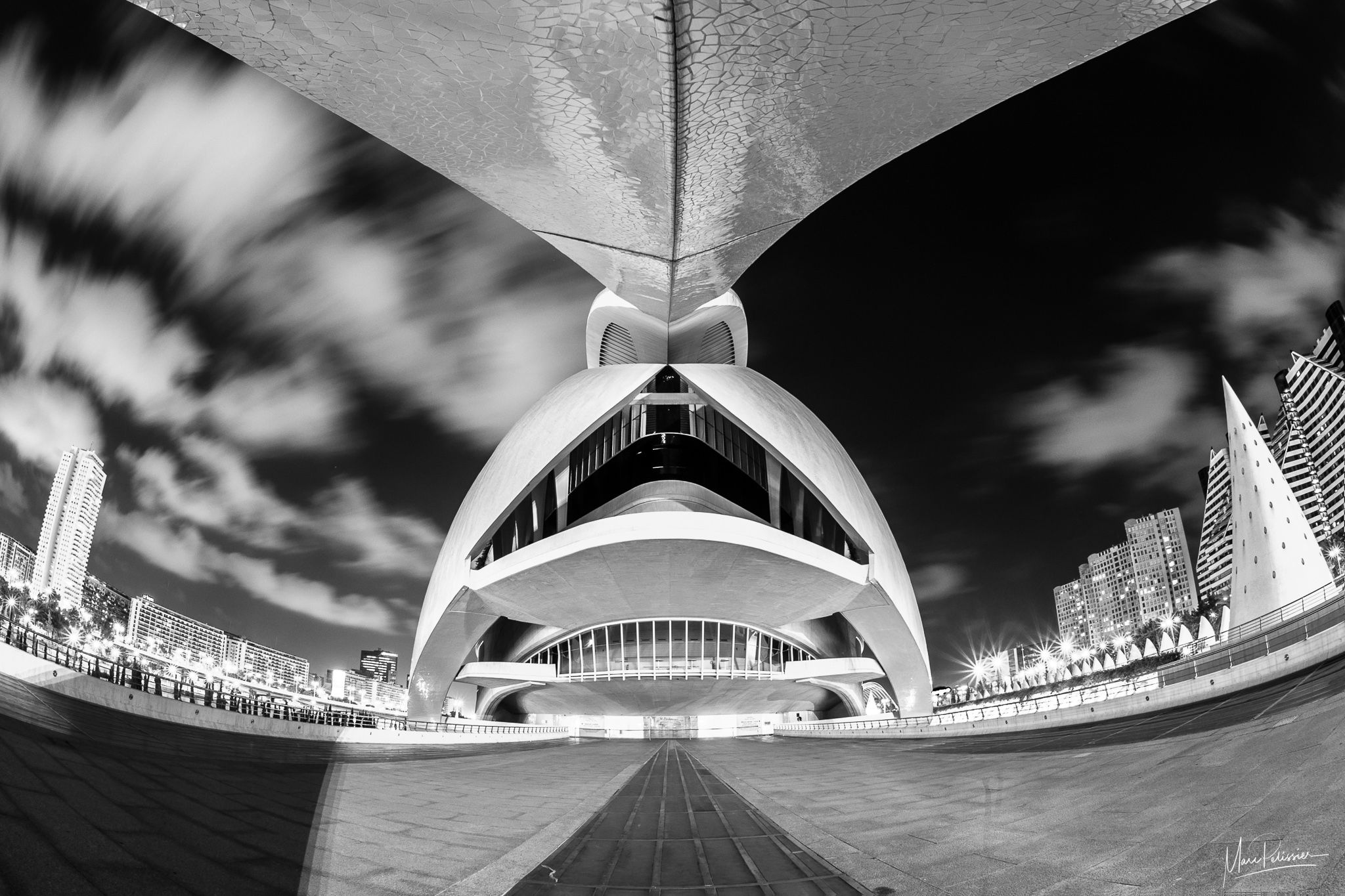 Palau de les Arts Reina Sofia, back view, Spain