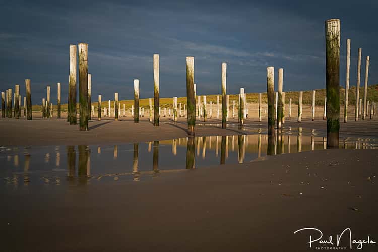 Palendorp Petten