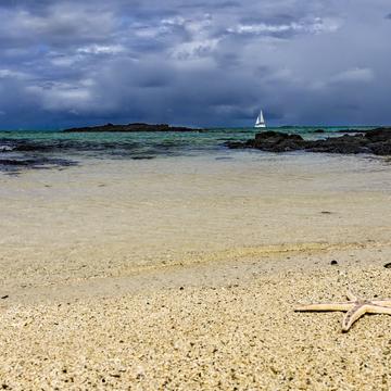 Playa, Mauritius