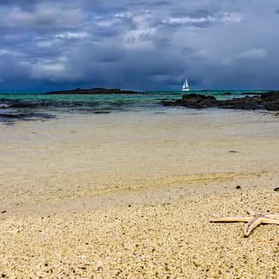 Playa, Mauritius