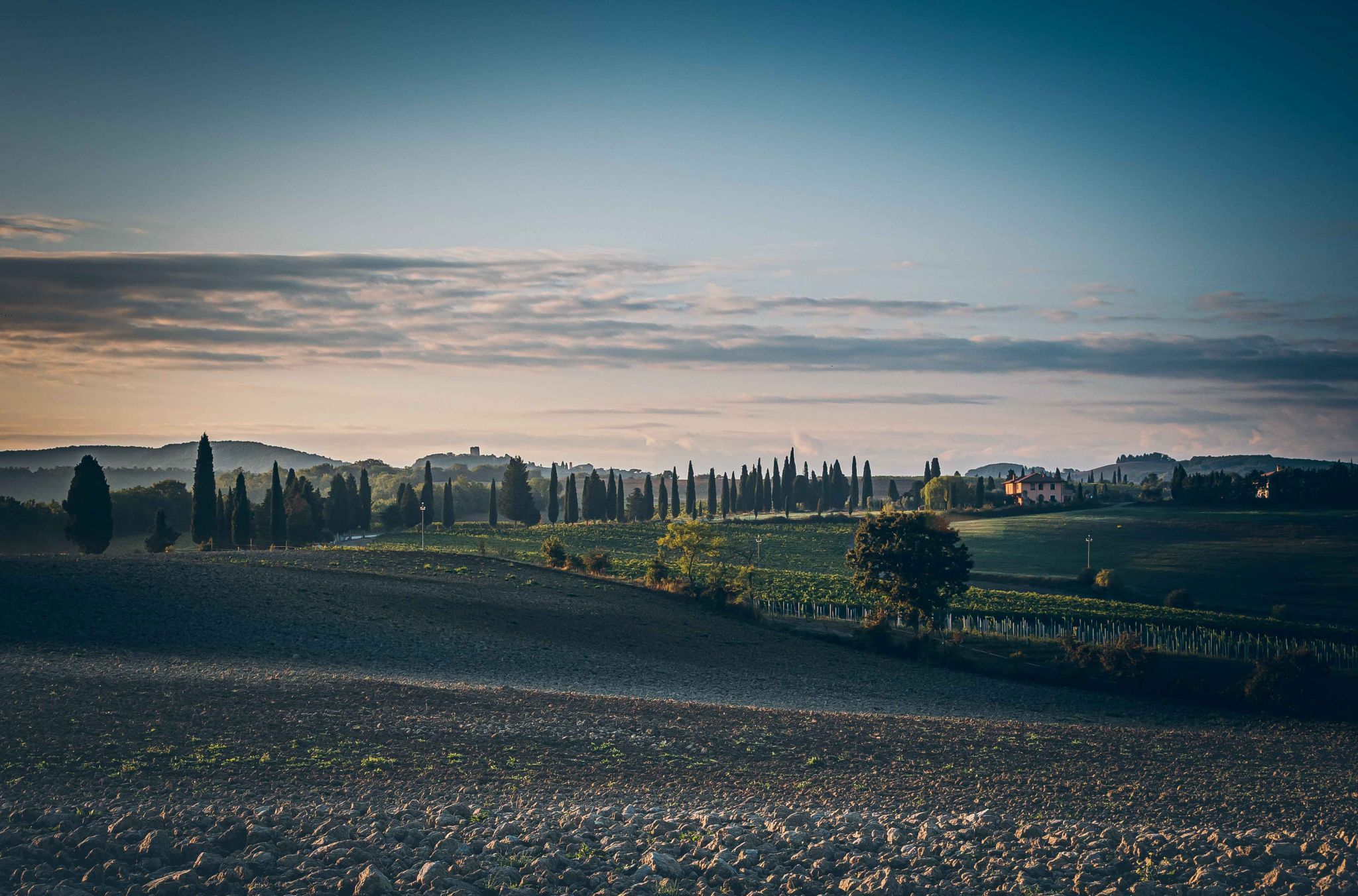 Podere dell' Albergo, Italy