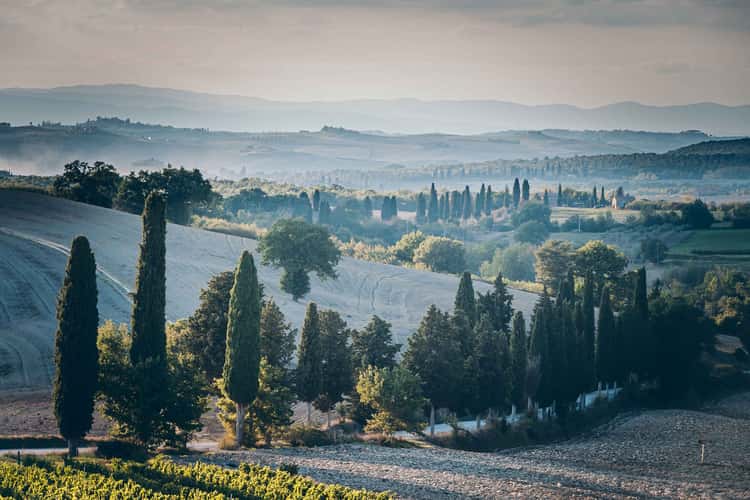 Podere dell' Albergo