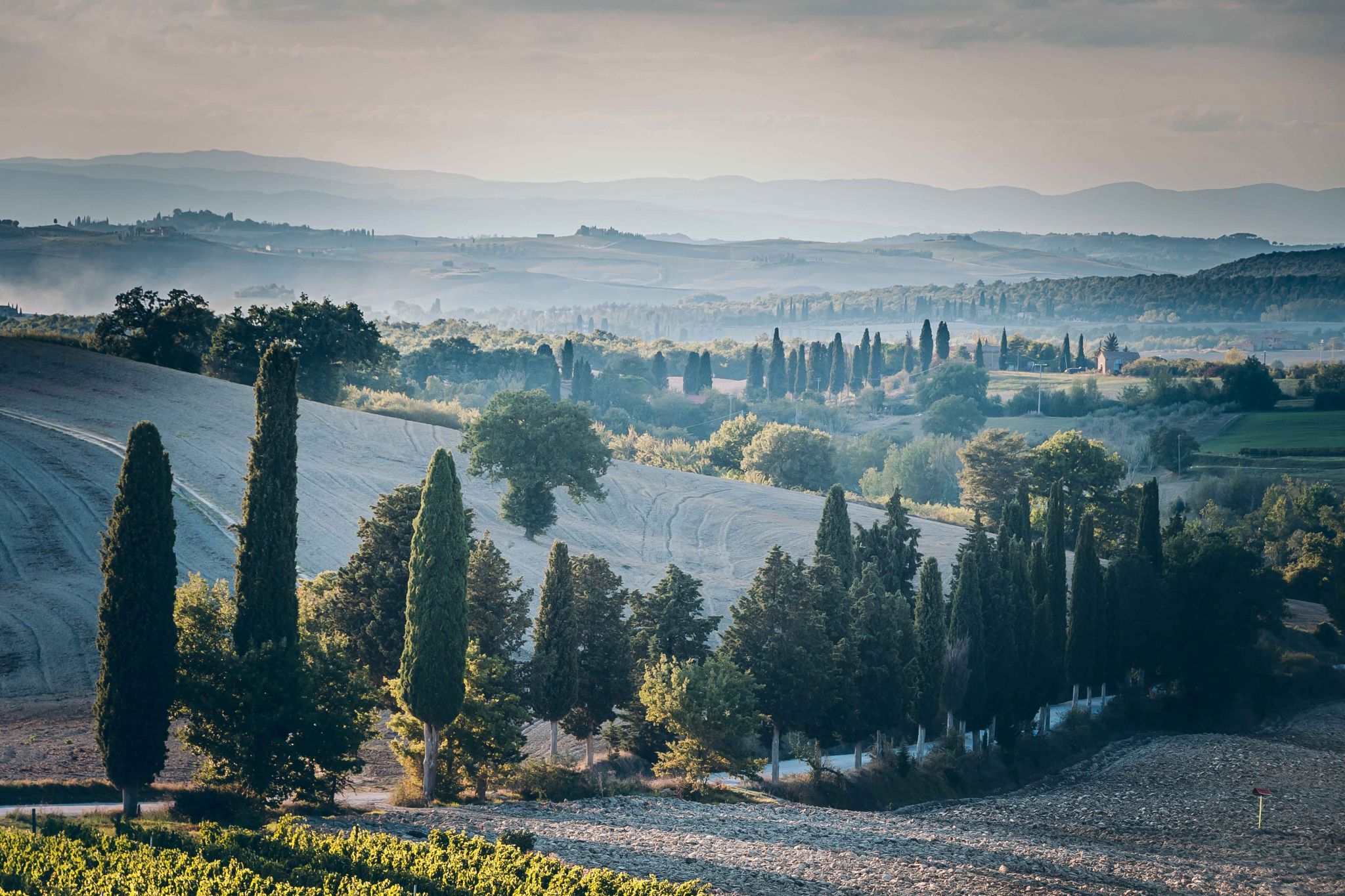 Podere dell' Albergo, Italy