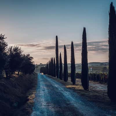 Podere dell' Albergo, Italy