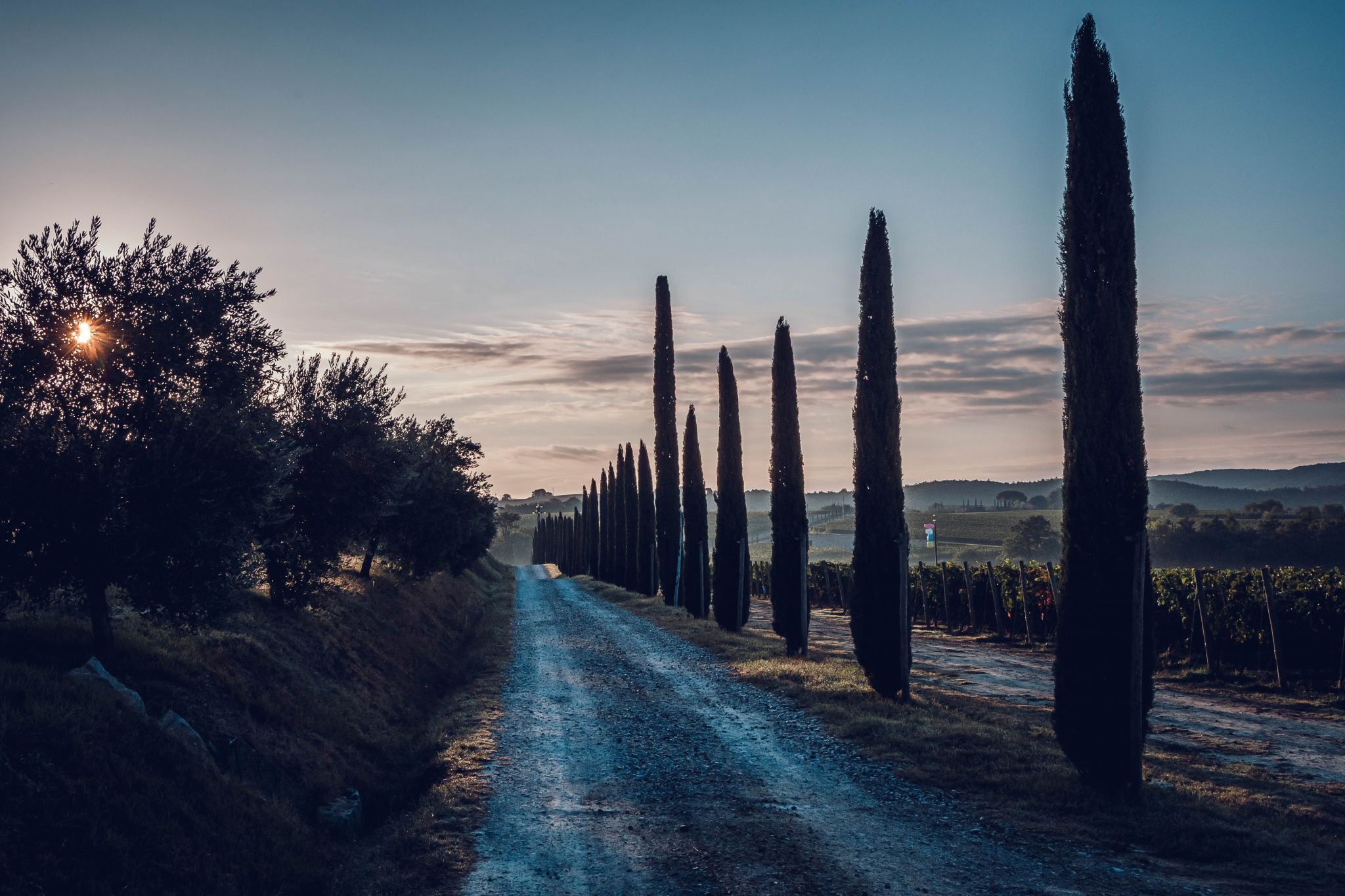 Podere dell' Albergo, Italy