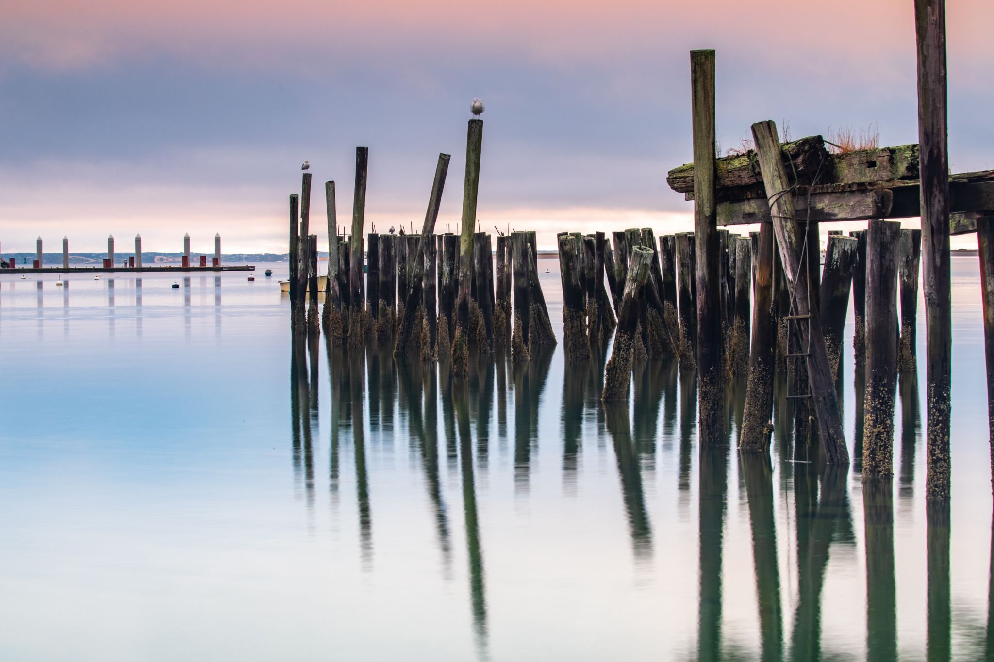 Cape Cod Visuals Top 23 Photo Spots at Cape Cod in 2024