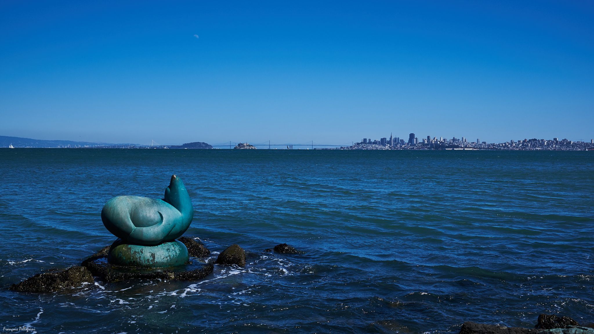 Sea Lion Sculpture by Al Sybrian, Sausalito, USA