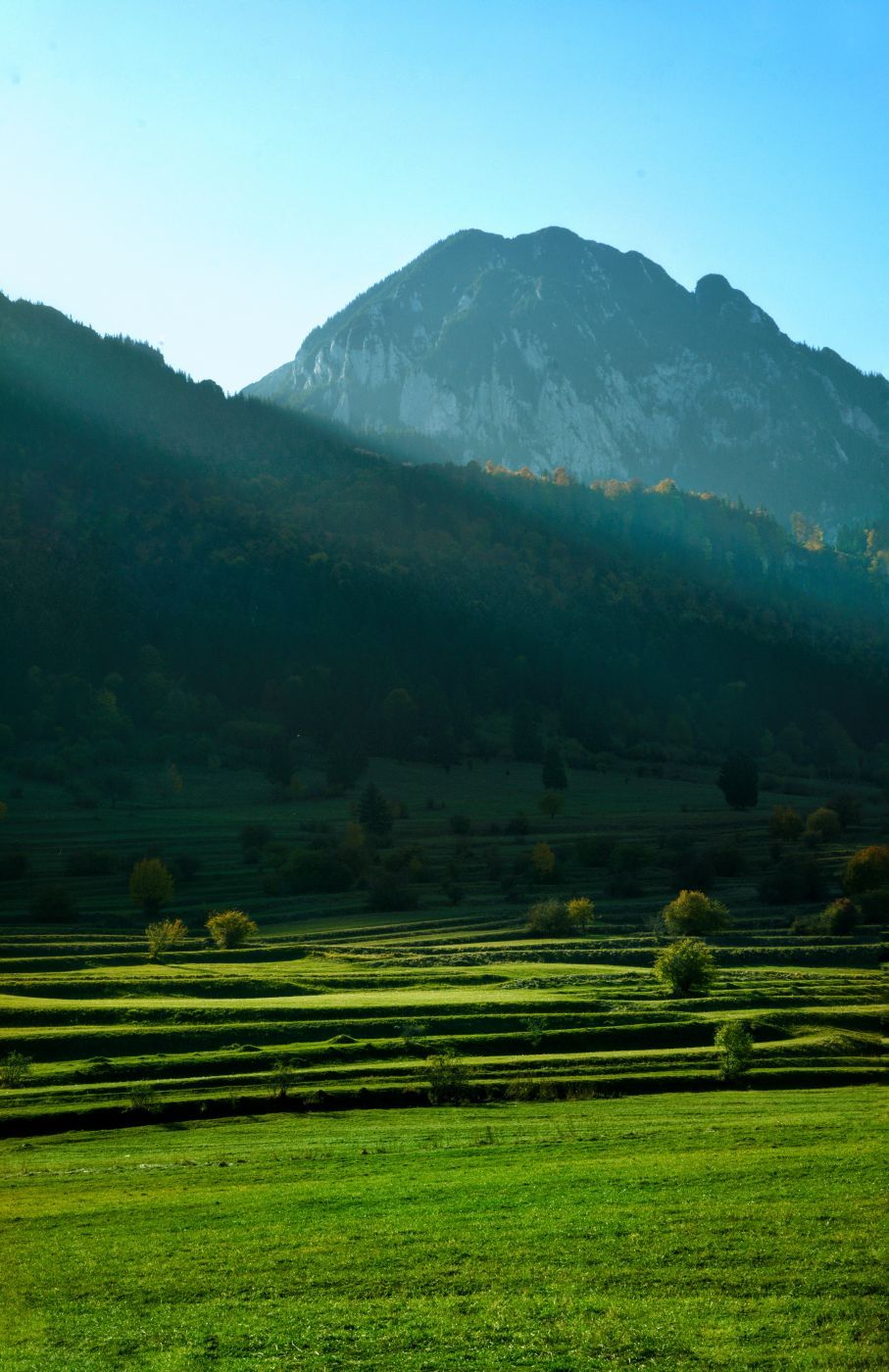 Shadows and Lights, Romania