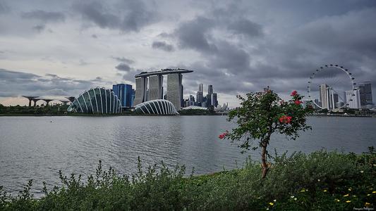 Singapore Skyline (from Gardens by the Bay East)