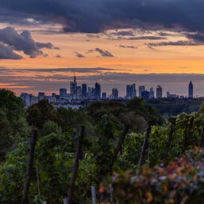 Skyline-Panorama Frankfurt at the Main, Germany