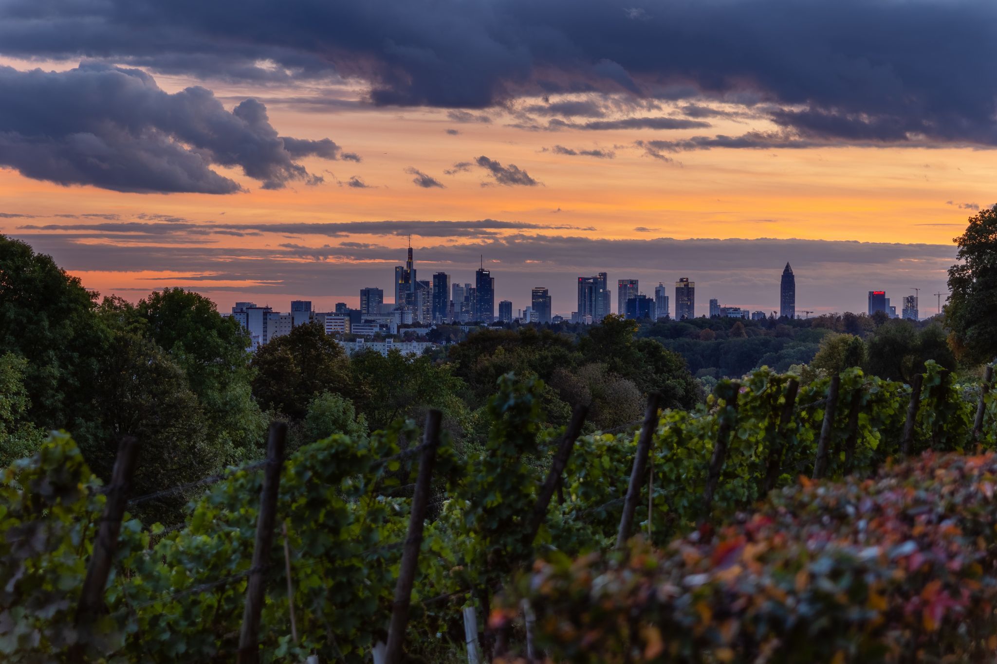 Skyline-Panorama Frankfurt at the Main, Germany