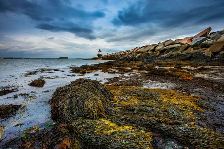 Spring Point Ledge Lighthouse beach near Portland