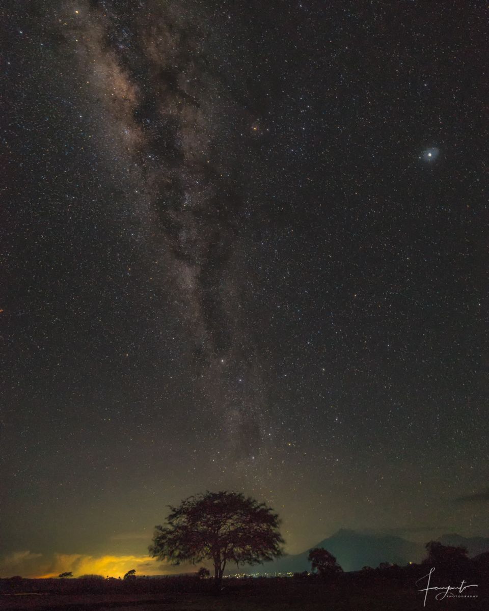 Stargazing at Baluran National Park, Indonesia