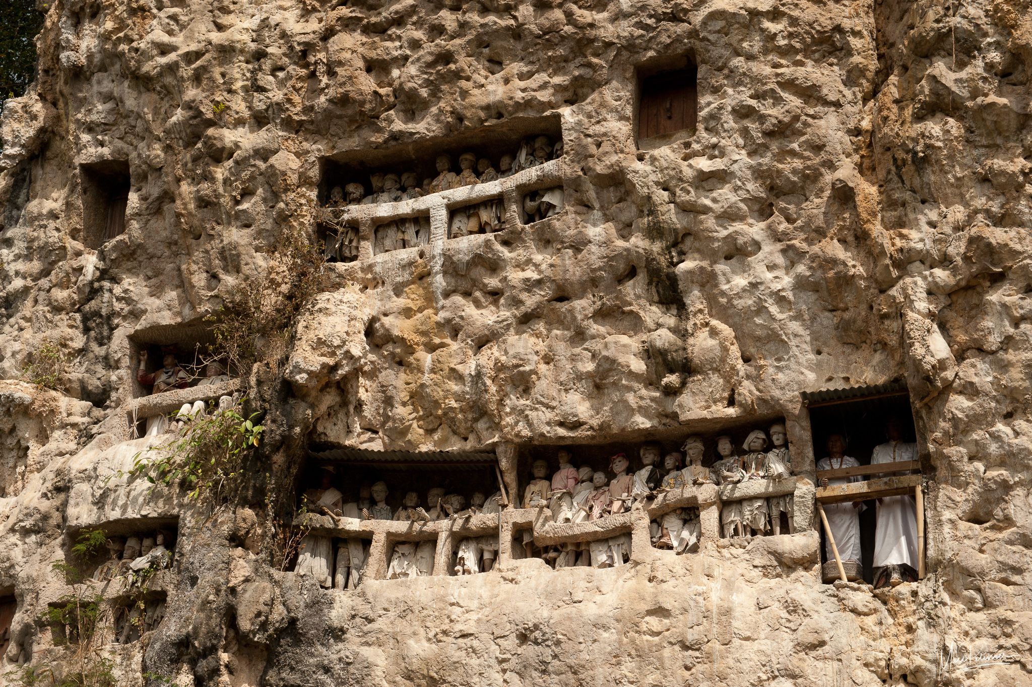Suaya cliff tomb & mummy, Indonesia