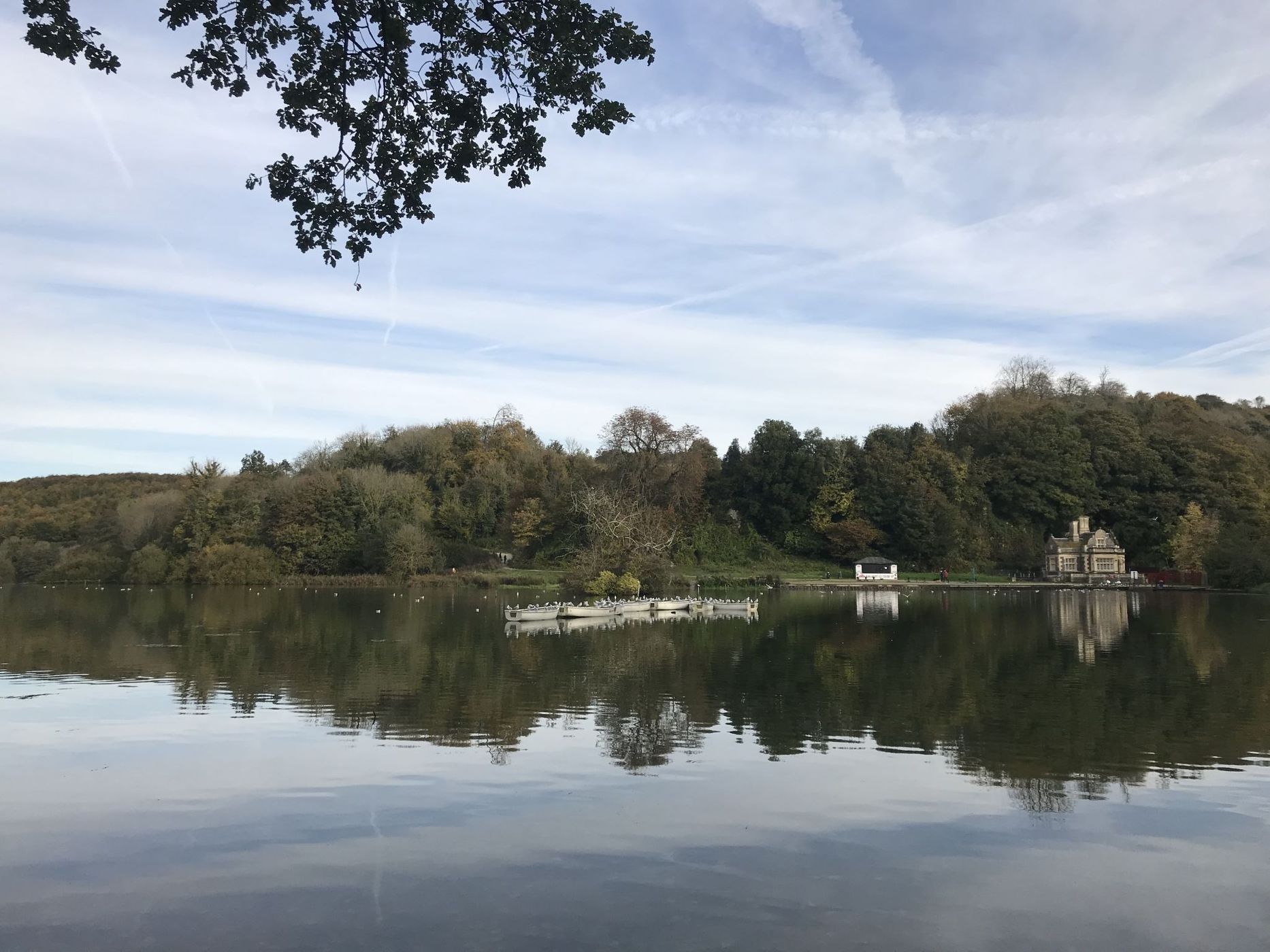 Swanbourne Lake Arundel, United Kingdom