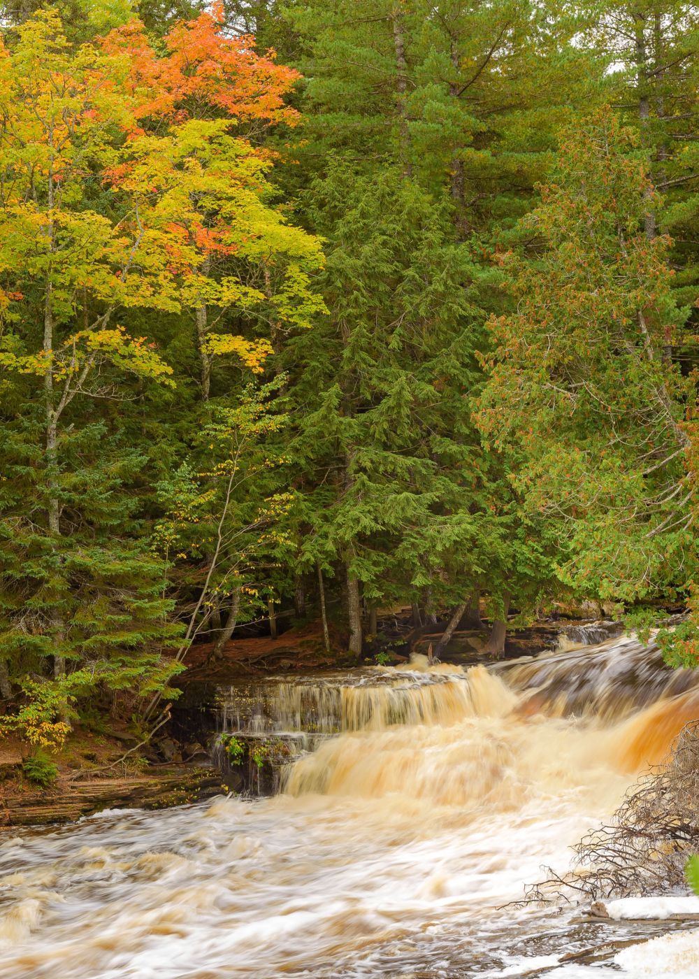 Tahquamenon Lower Falls, USA