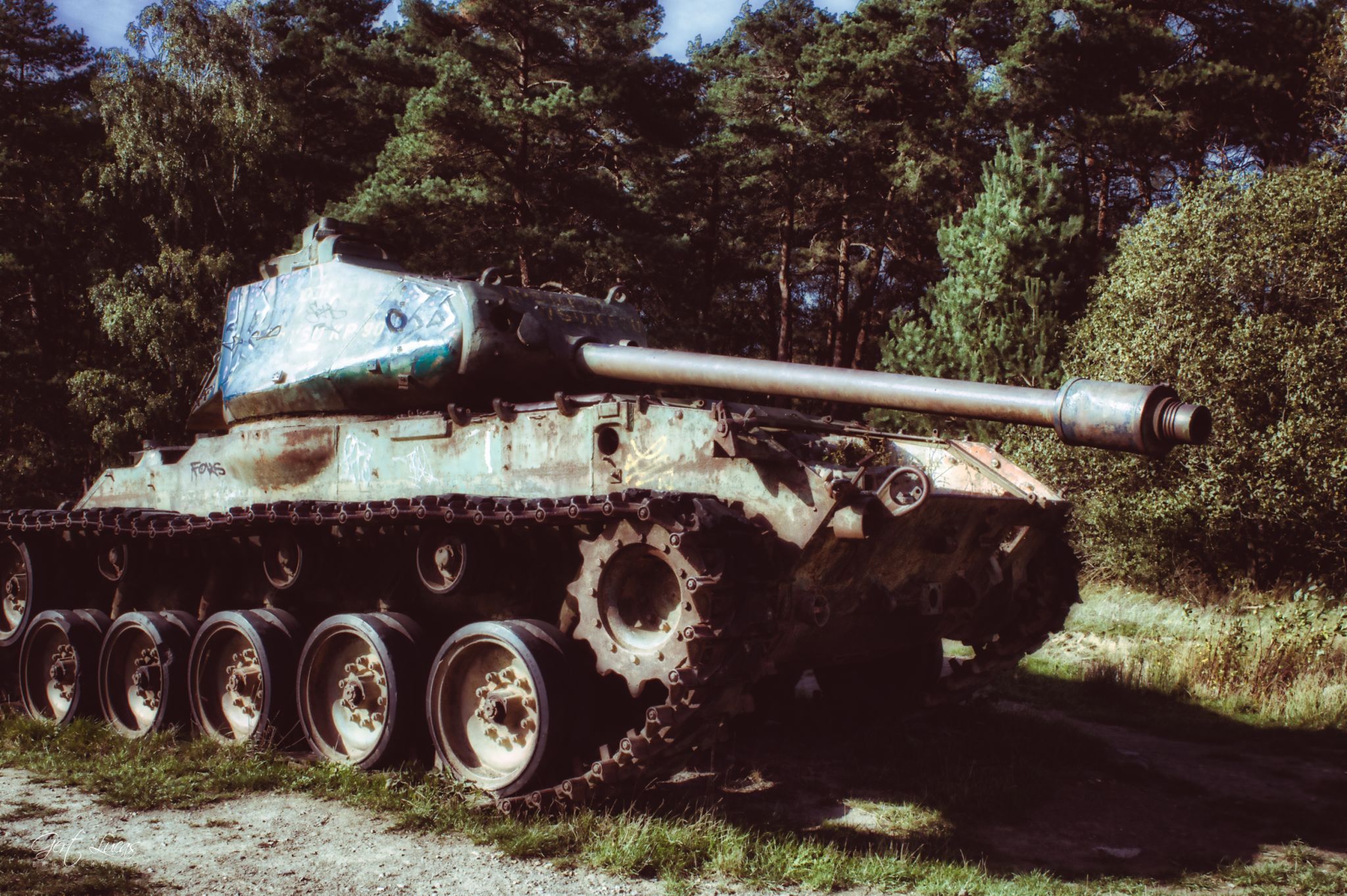 Tank at the nature reserve 'Brander Wald', Germany