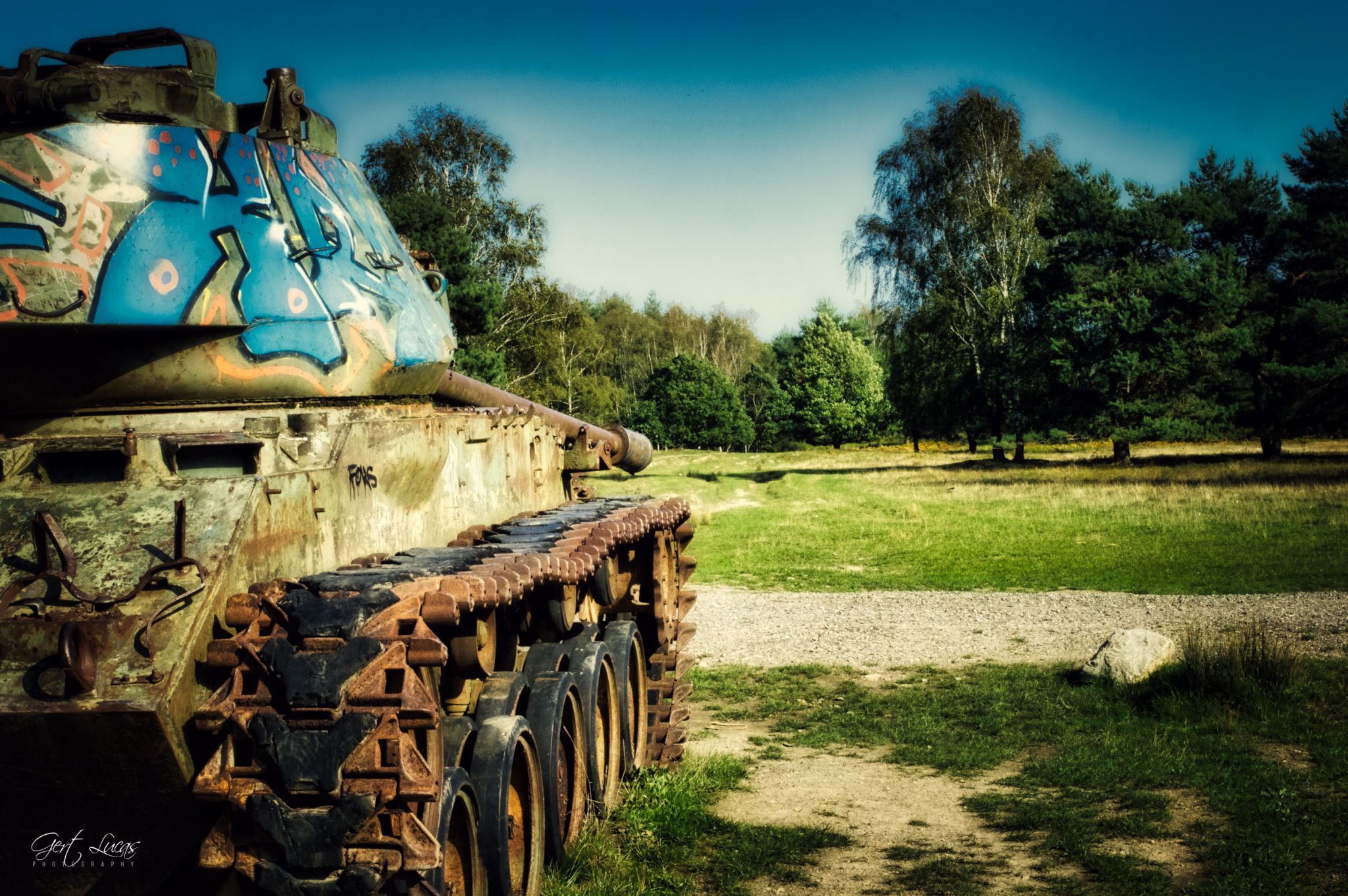 Tank at the nature reserve 'Brander Wald', Germany