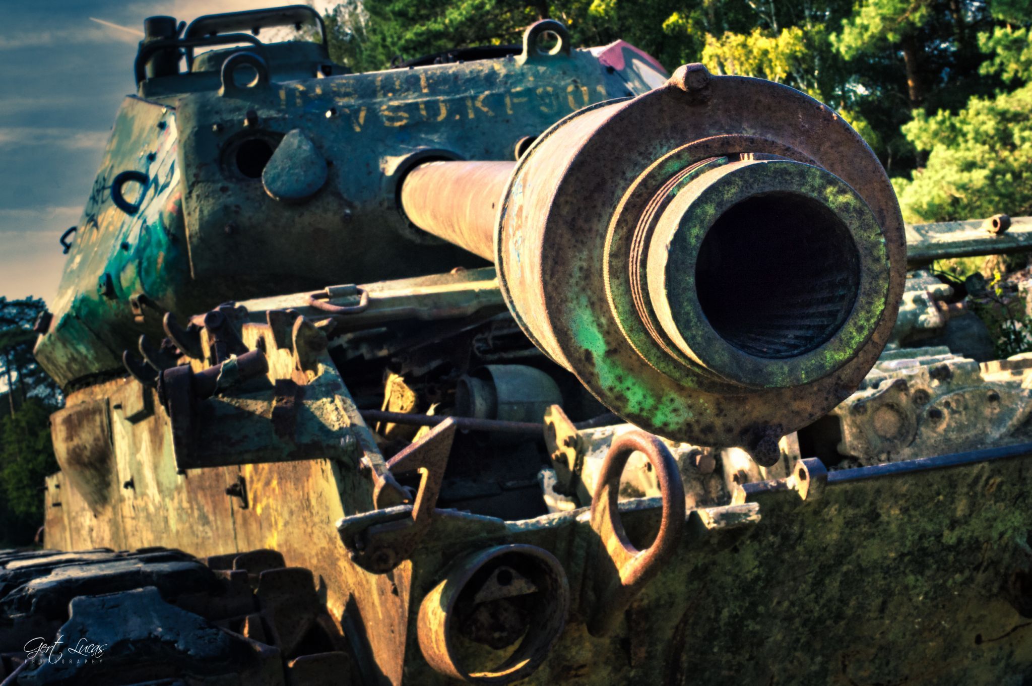 Tank at the nature reserve 'Brander Wald', Germany