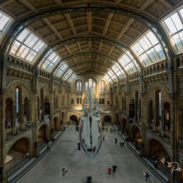 The Natural History Museum Lobby, London, United Kingdom