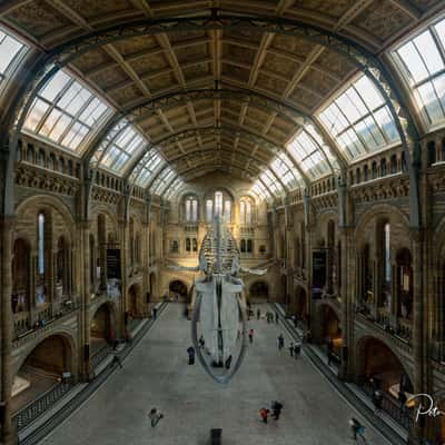 The Natural History Museum Lobby, London, United Kingdom