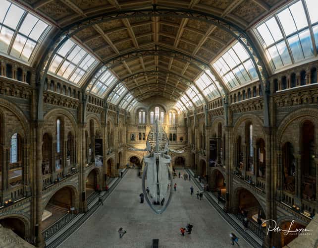 The Natural History Museum Lobby, London